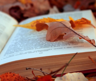 Libros que se adueñaran de tus días de otoño